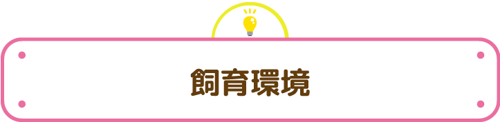 飼育環境